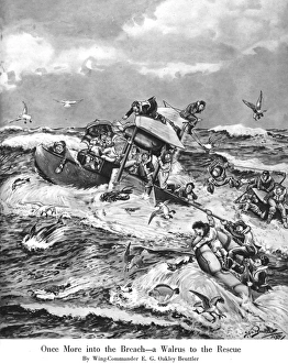 Images Dated 1st March 2016: Once More into the Breach - a Walrus to the rescue