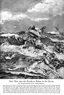 Images Dated 1st March 2016: Once More into the Breach - a Walrus to the rescue