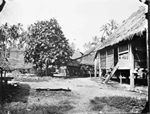 Bread Fruit Prints: Bread Fruit Tree, Ki Dulan, Indonesia
