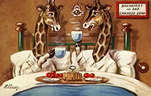 Breakfast in bed