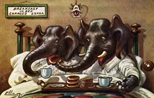 Breakfast in bed