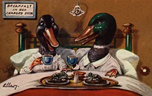 Breakfast in bed