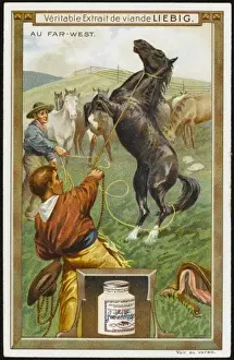 Breaking in Horses