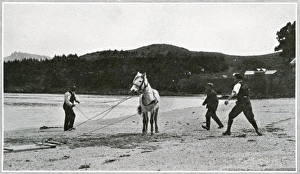 Images Dated 5th January 2011: Breaking in ponies for the Scott Polar Expedition
