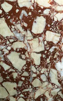 Polished Prints: Breccia Coralina Rosa, marble