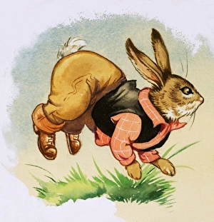 Images Dated 7th June 2007: Brer Rabbit