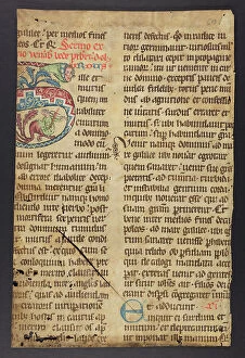 Outer Collection: Breviary (Fragment)