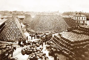 Cooperage Prints: A brewery cooperage yard