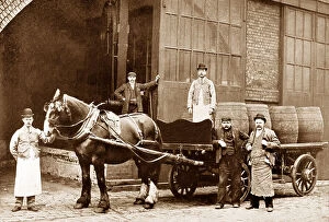 Dray Collection: Brewery Dray early 1900s