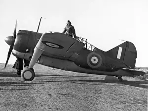 Brewster Buffalo I AS426