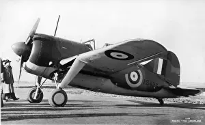 Brewster Buffalo I AS426