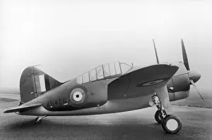 Brewster Buffalo I AS426
