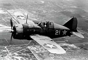 Fighters Collection: Brewster F2A Buffalo of the US Navy, aloft in Aug 1942