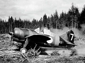 Soviet Collection: Brewster F2A Buffalo -unlike other Buffalo users, the F