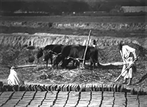 Xinjiang Prints: Brickmaking in Kashgar, western China