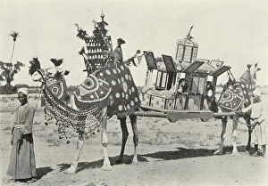 Arabs Collection: Bridal Coach - Souvenir of Egypt, 1898