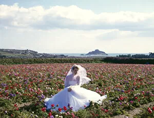 Bride, anemones, St Michaels Mount, Marazion, Cornwall