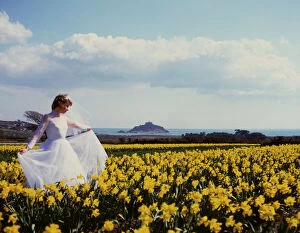 Bridal Gallery: Bride in daffodil field, St Michaels Mount, Cornwall