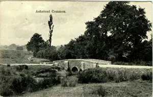 Common Gallery: The Bridge, Ashstead Common, Surrey