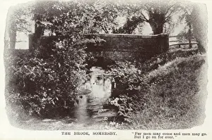 Bridge over the Brook - Somersby