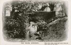 Bridge over the Brook at Somersby, Lincs Bridge over the Brook at Somersby, Lincs