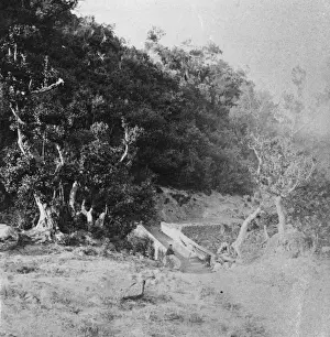 Bridge and road in rural landscape