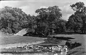 Ruthin Prints: Bridge in Ruthin Castle Grounds
