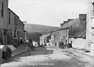 Sheep Prints: Bridge St. Carndonagh