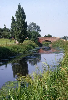 Canals Collection: Bridgwater and Taunton Canal, Somerset