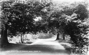 Showcases Prints: Bridle Path on Hampstead Heath
