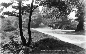 Leisurely Prints: Bridle Path on Hampstead Heath