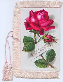 Buds Prints: Bright pink roses on a fabric greetings card