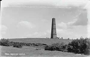 Grassy Prints: Brightling Needle