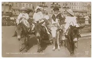 BRIGHTON / BEACH DONKEYS