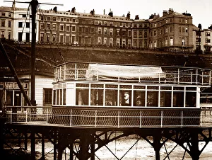Brighton Daddy Long Legs