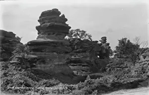 Turtle Prints: Brimham Rocks, Turtle Rock