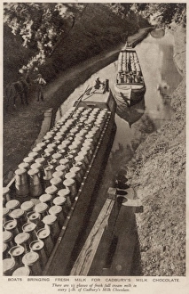 Bringing Fresh milk to the Cadburys Factory