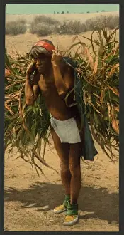 Bringing in the harvest