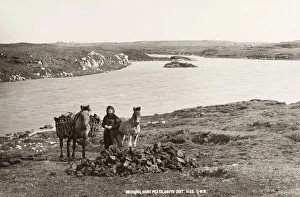 Bringing home peat with a pony, Scotland