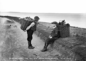 Bringing Home the Tatties near Newcastle