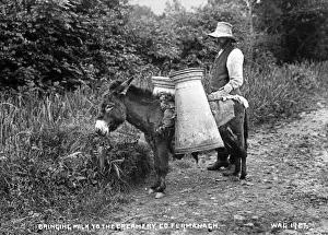Bringing Prints: Bringing Milk to the Creamery, Co Fermanagh