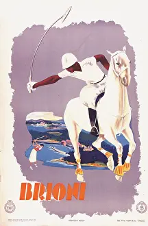 Onslow Auctioneers Prints: Brioni Polo poster