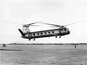 Bristol 173 / 3 XE286 hovering at Old Mixon in November 1956