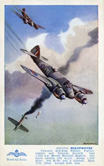 Hercules Gallery: Bristol Beaufighter