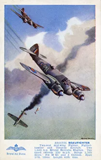 Images Dated 1st March 2019: Bristol Beaufighter