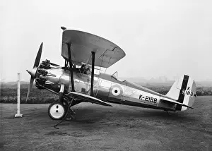 Bristol Bulldog