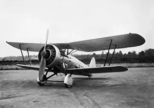 Bristol Bulldog