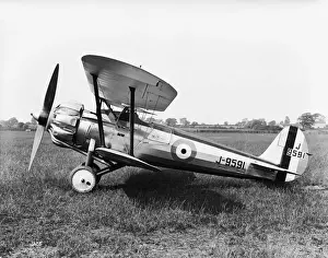 Bristol Bulldog