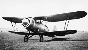 Bristol Bulldog