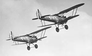 Bristol Bulldog